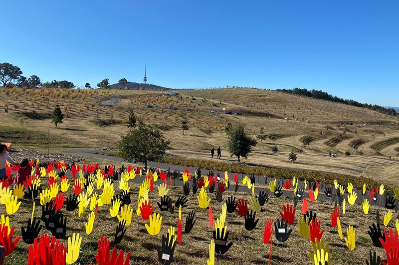 Image of field of Hands at the National Arboretum National Reconciliation Week